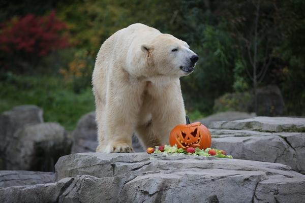 2015-10-22 06-27-00.JPG